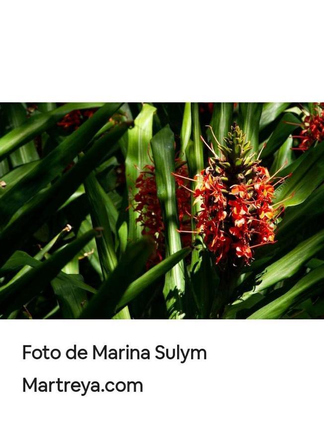 Jardin De Naipi Appartement Puerto Iguazú Buitenkant foto