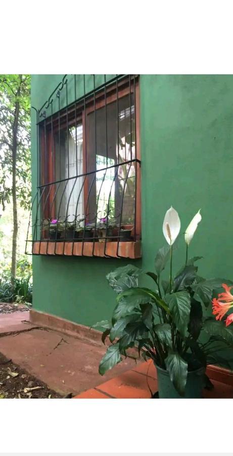 Jardin De Naipi Appartement Puerto Iguazú Buitenkant foto