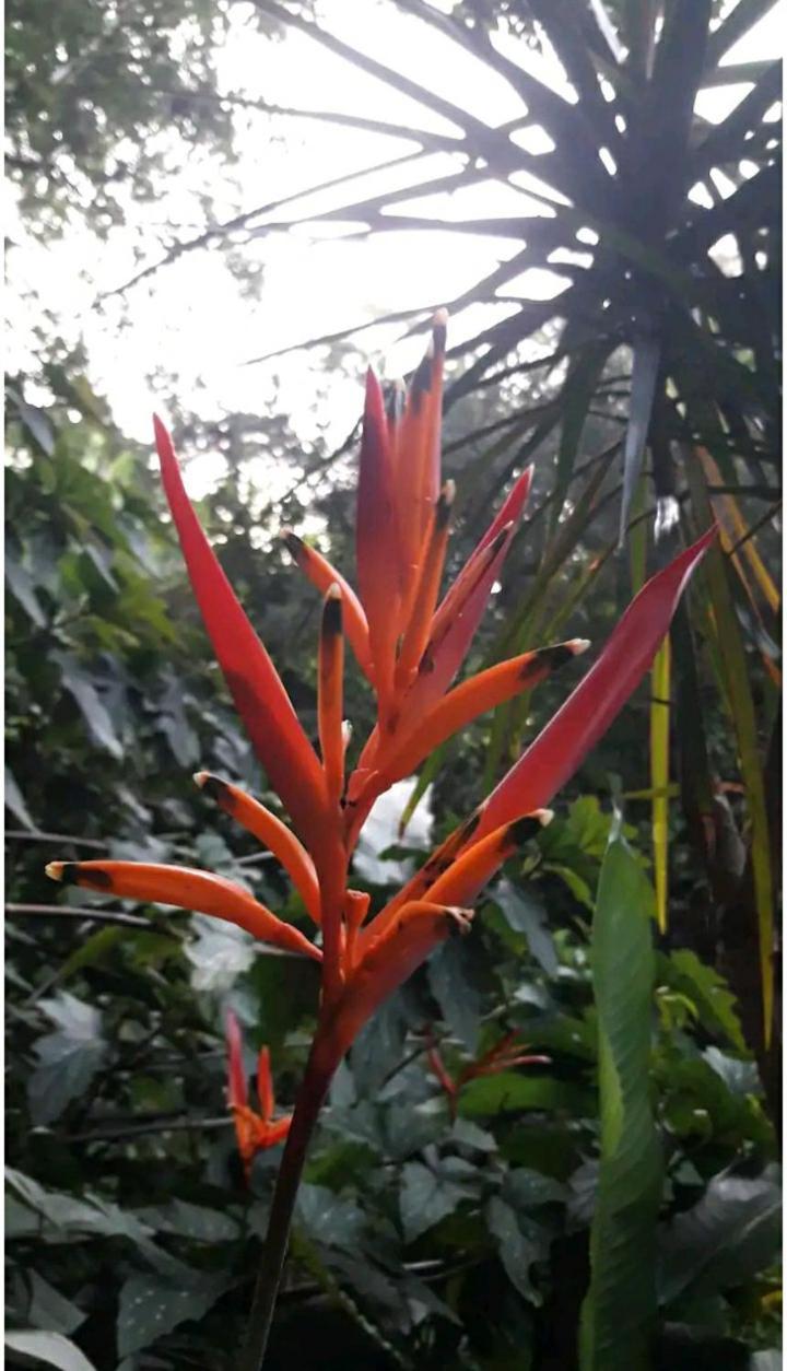 Jardin De Naipi Appartement Puerto Iguazú Kamer foto